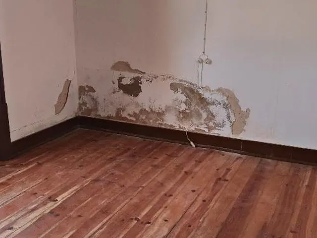Inspeção de humidade pré-compra: humidade ascensional em parede de quarto